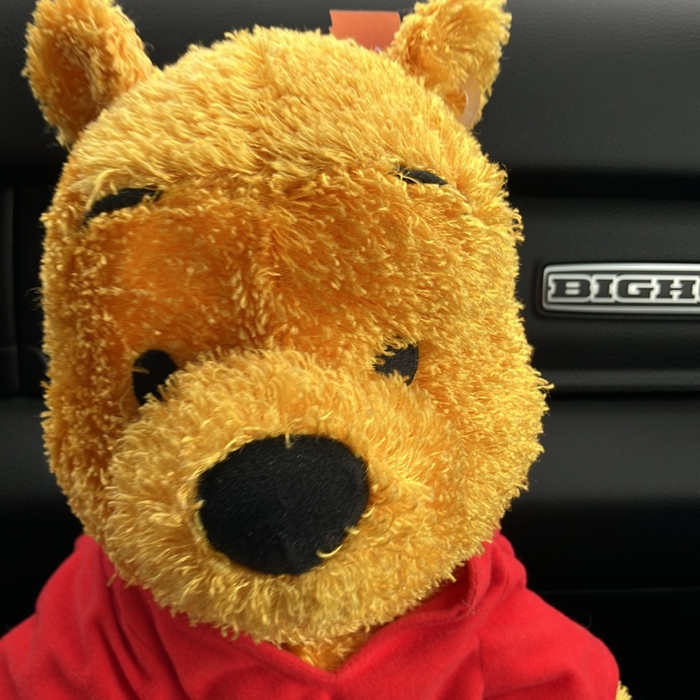 Vintage‎ Pooh Plush Toy - Picture 3 of 5